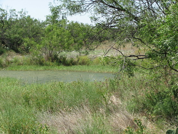 Frog Pond Ranch Photo