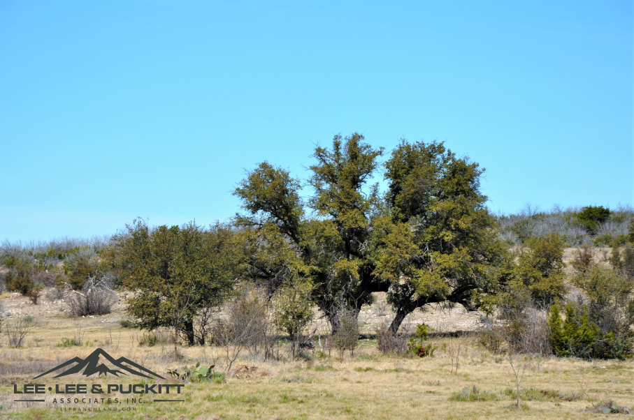 Hunters Ridge Ranch Photo