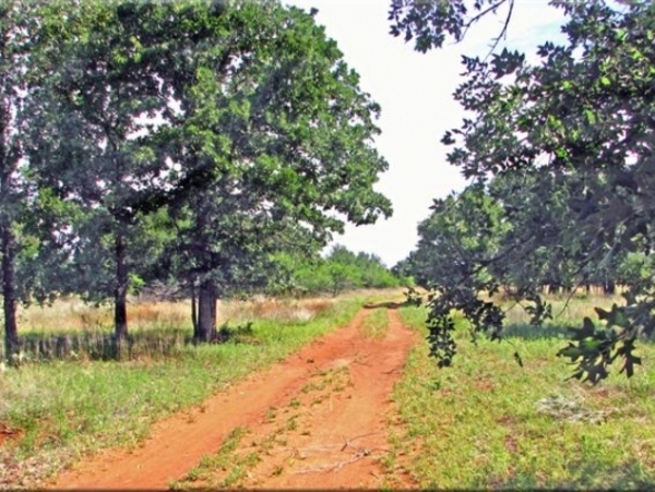 Oak Tree Ranch Photo
