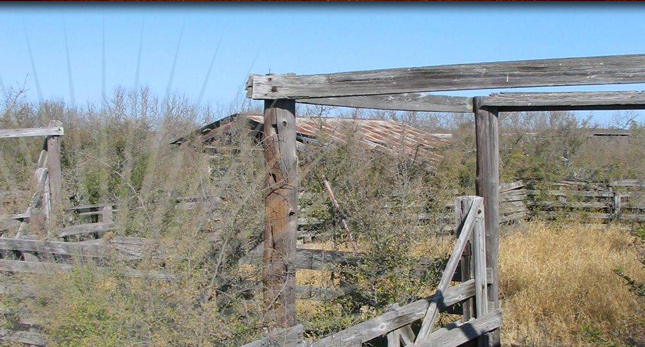 Cattle Pens