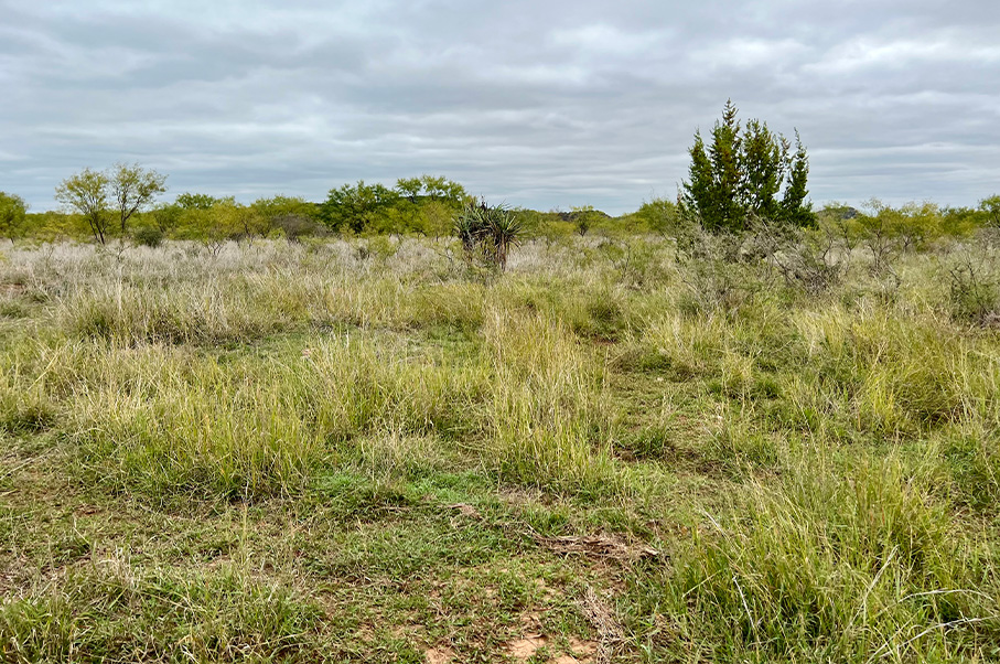 Stovall Ranch Photo