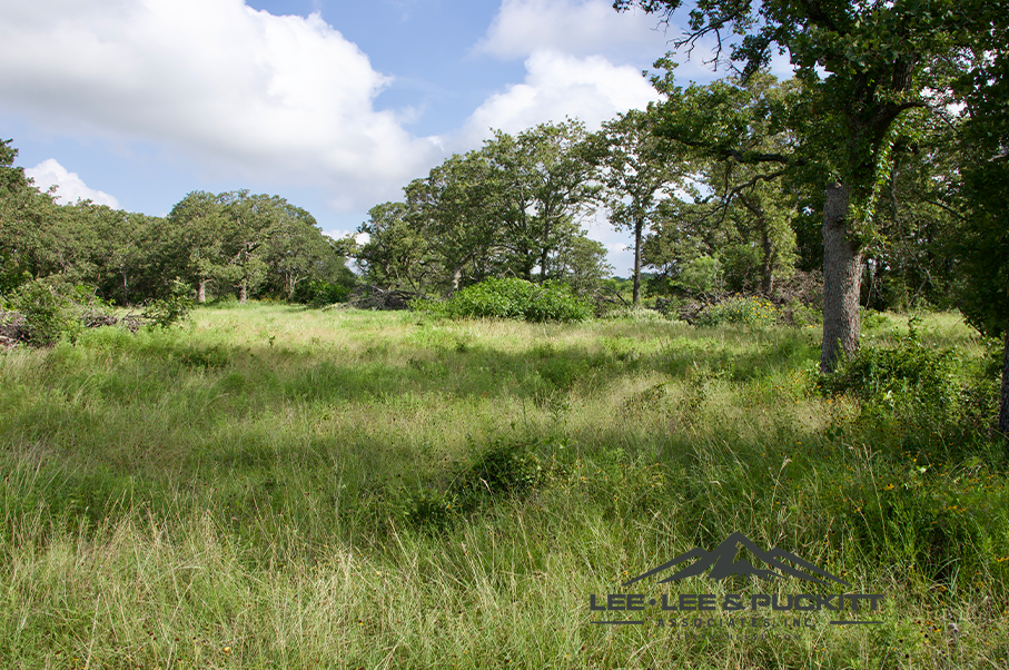 Pioneer Ranch Photo