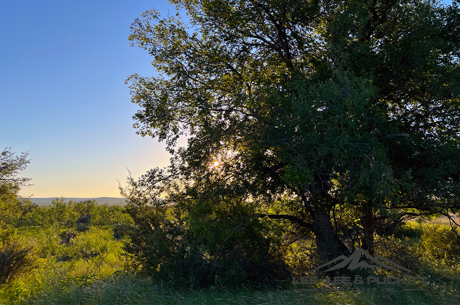 Wilson - Carlsbad Ranch Photo