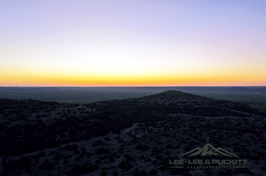 Wilson - Carlsbad Ranch Photo