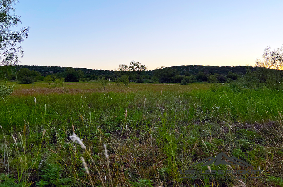 Wilson - Carlsbad Ranch Photo