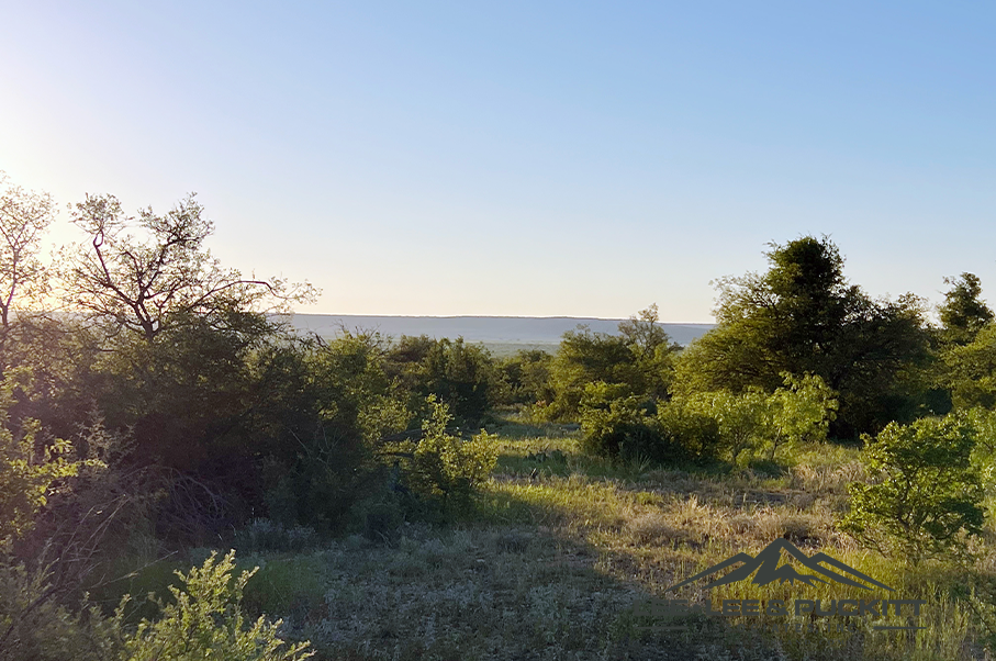 Wilson - Carlsbad Ranch Photo