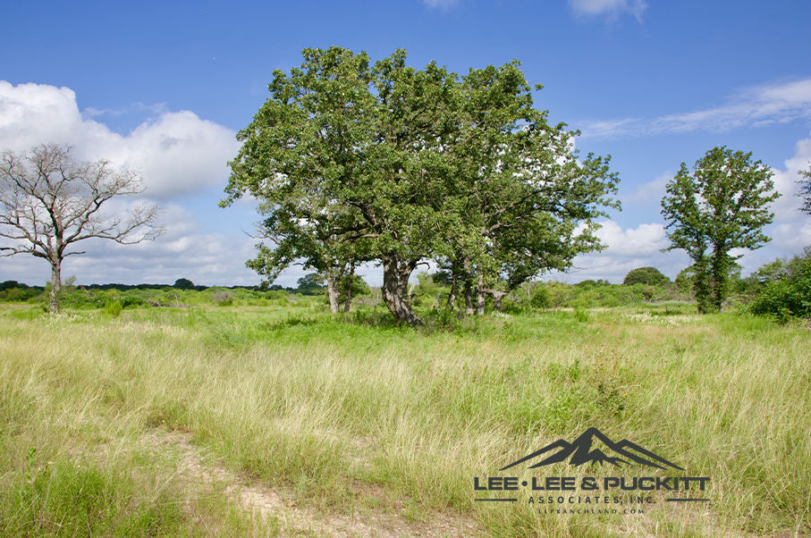 Pioneer Ranch Photo