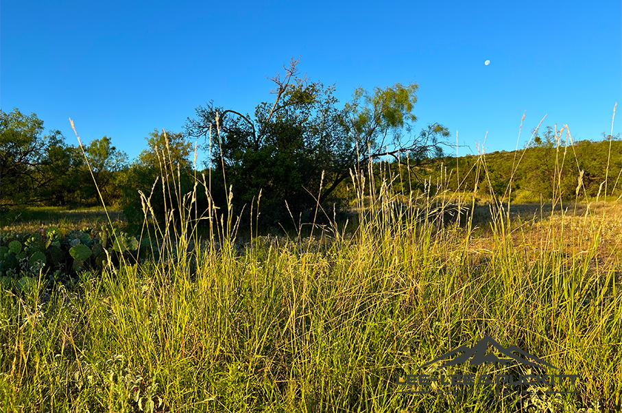 Wilson - Carlsbad Ranch Photo