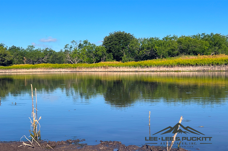 Wilson - Carlsbad Ranch Photo