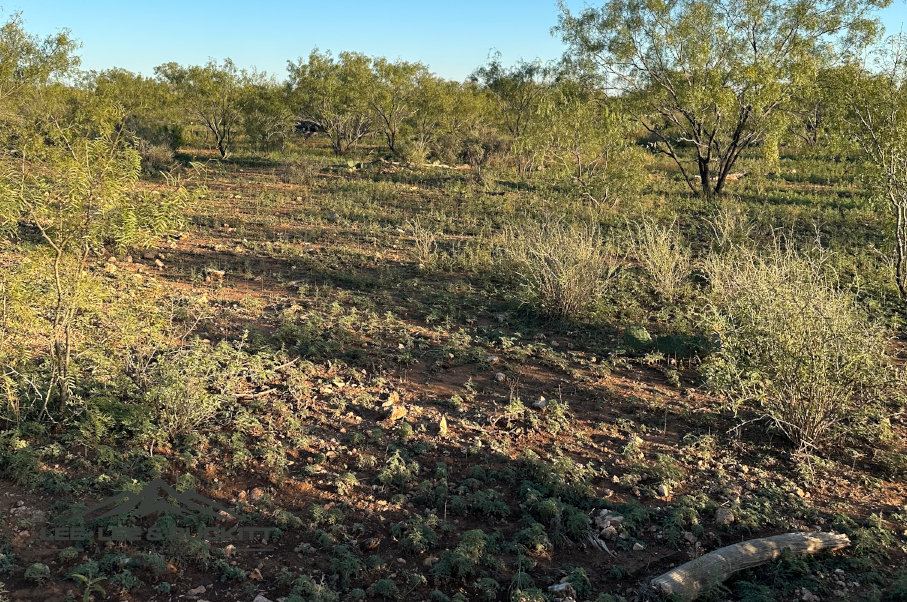 Lee 384 Ranch Photo