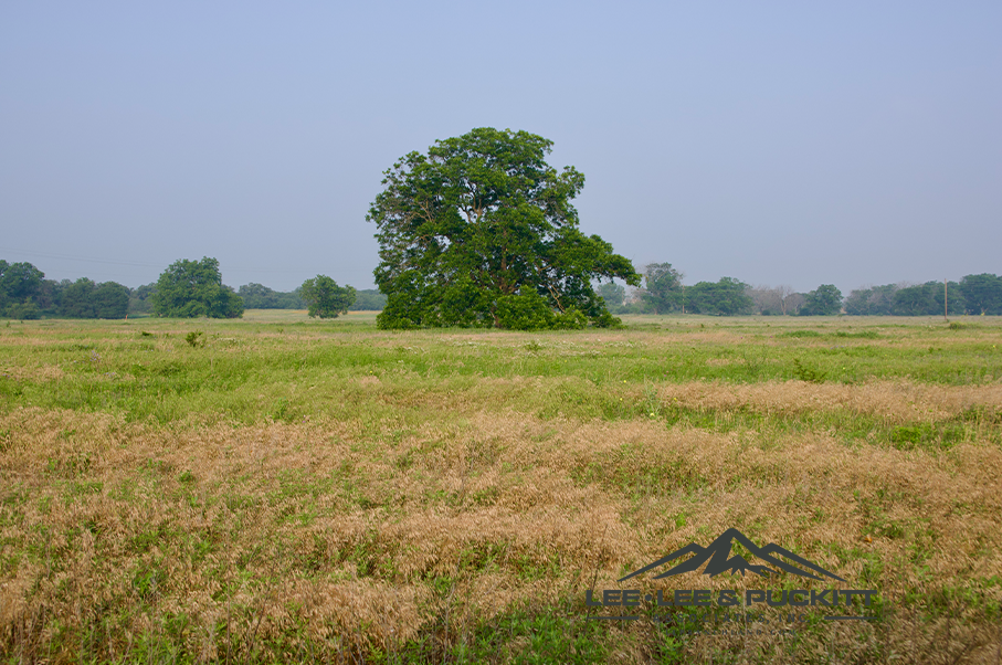 Pioneer Ranch Photo