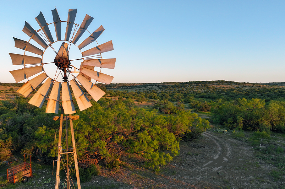 Wilson - Carlsbad Ranch Photo