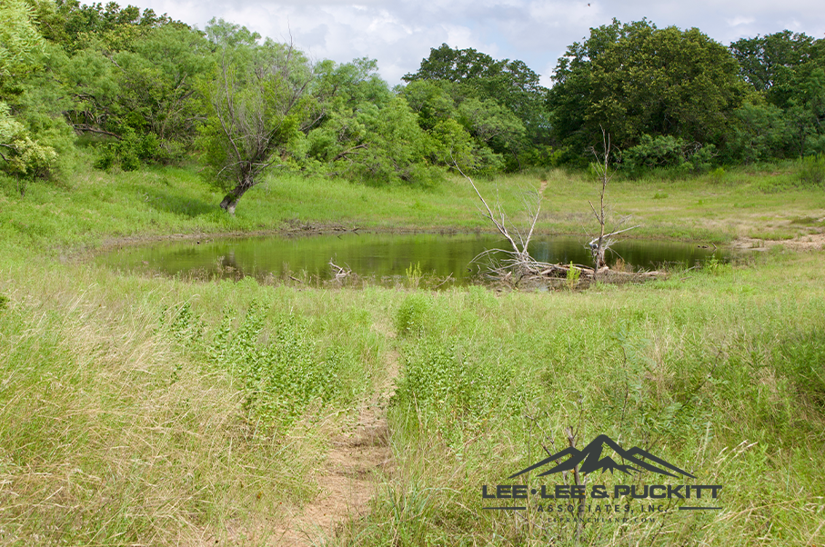 Pioneer Ranch Photo