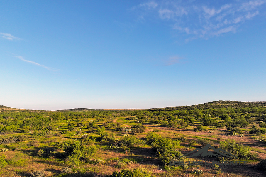 Wilson - Carlsbad Ranch Photo