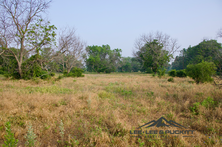 Pioneer Ranch Photo