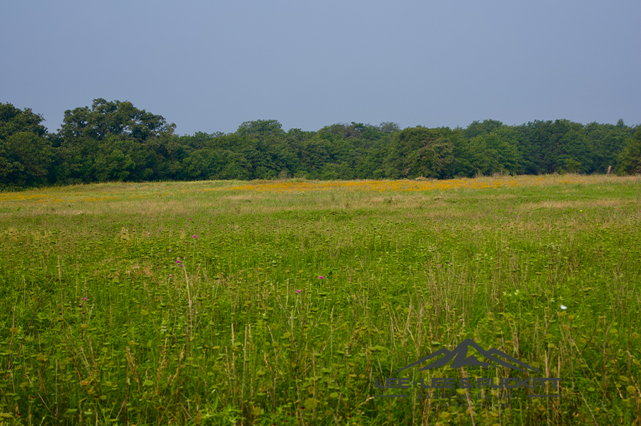 Pioneer Ranch Photo