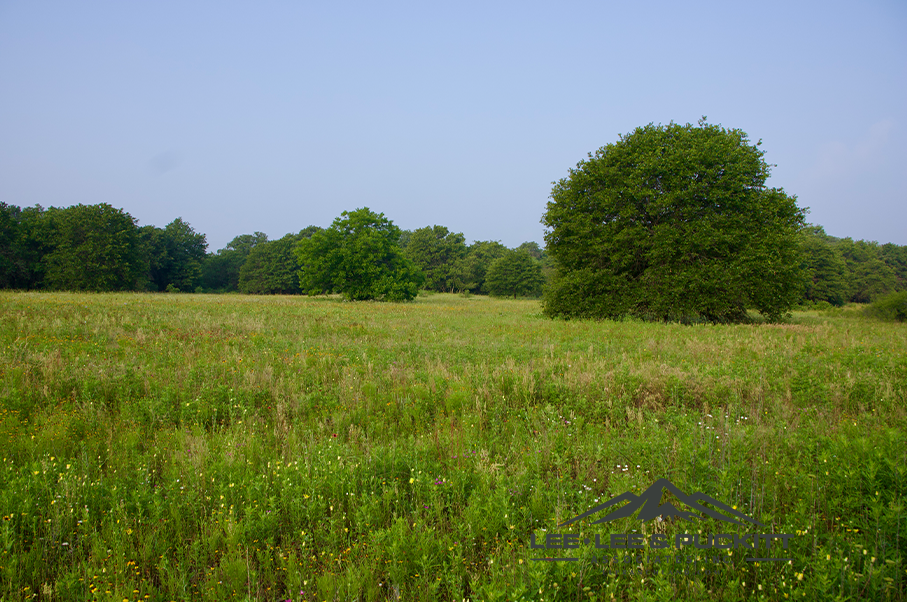 Pioneer Ranch Photo