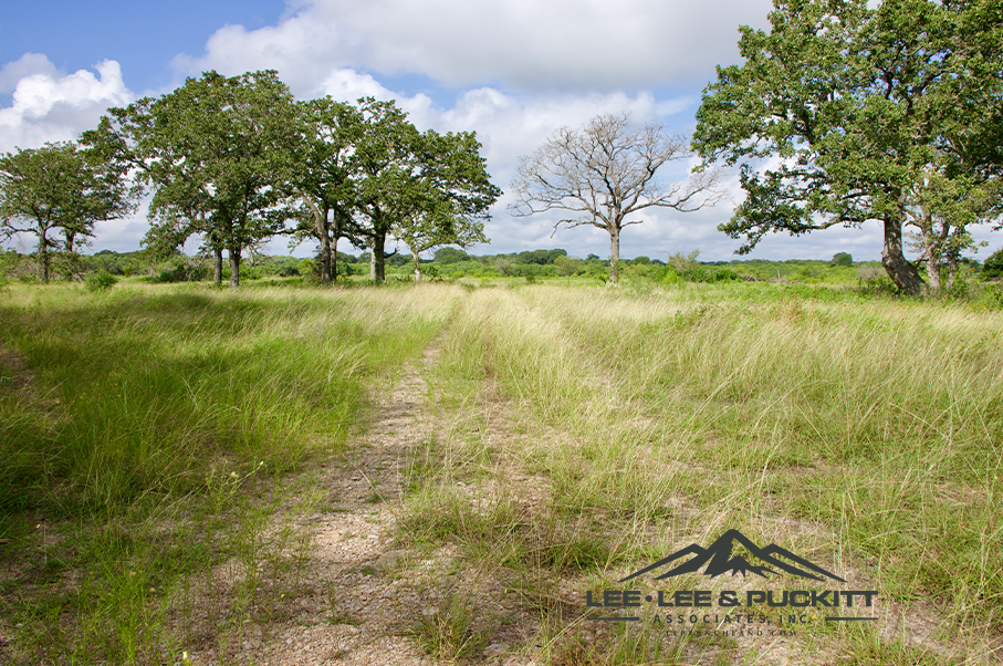 Pioneer Ranch Photo