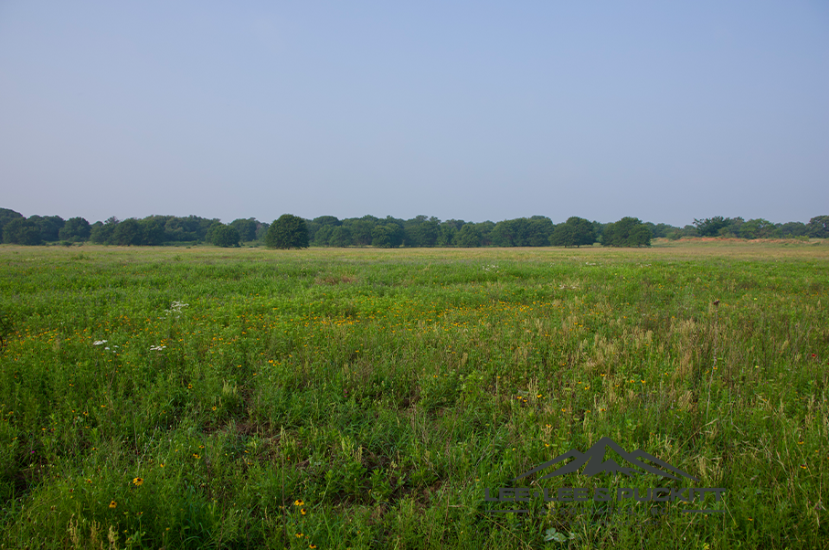 Pioneer Ranch Photo