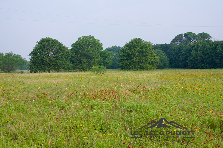 Pioneer Ranch Photo