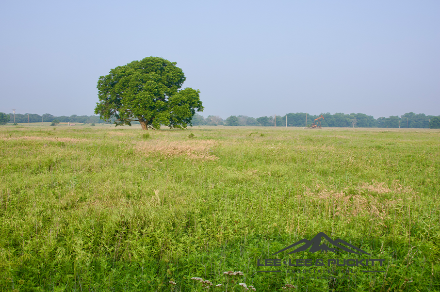 Pioneer Ranch Photo