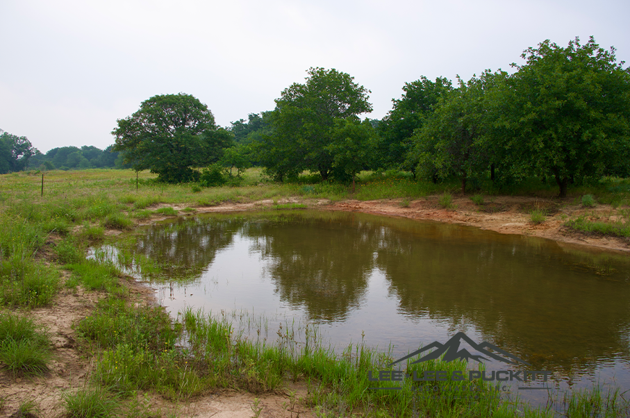 Pioneer Ranch Photo