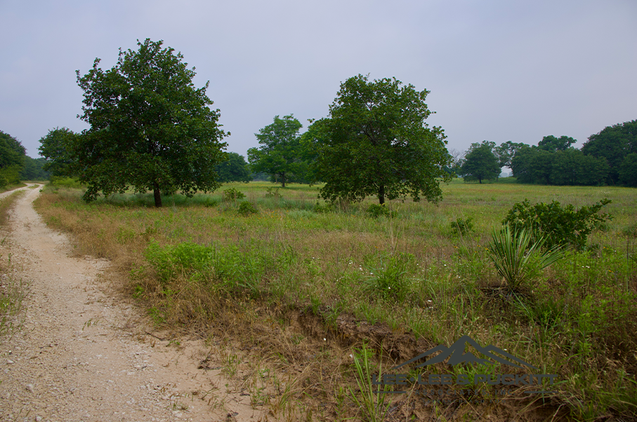 Pioneer Ranch Photo