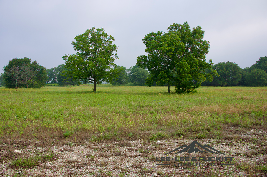 Pioneer Ranch Photo