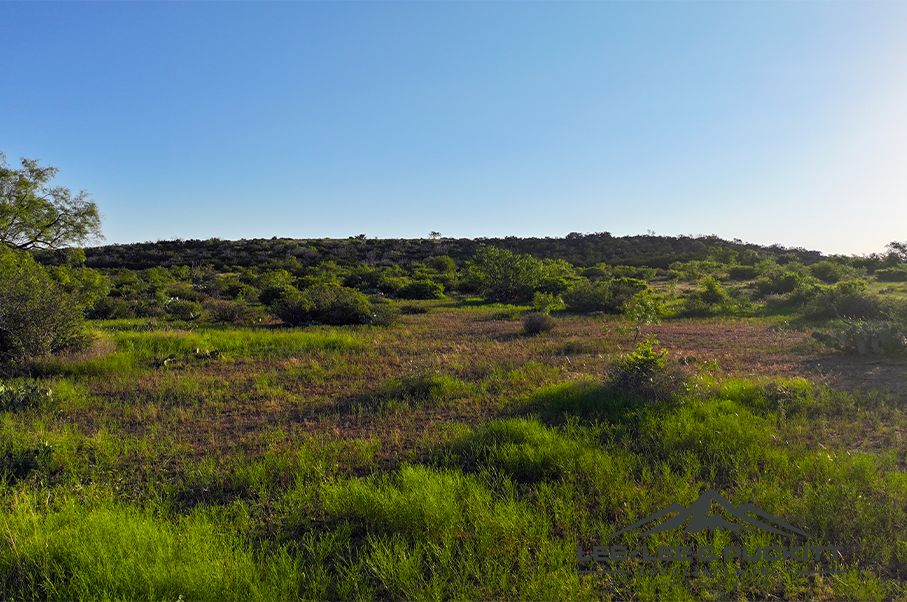 Wilson - Carlsbad Ranch Photo