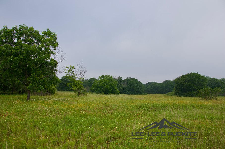 Pioneer Ranch Photo