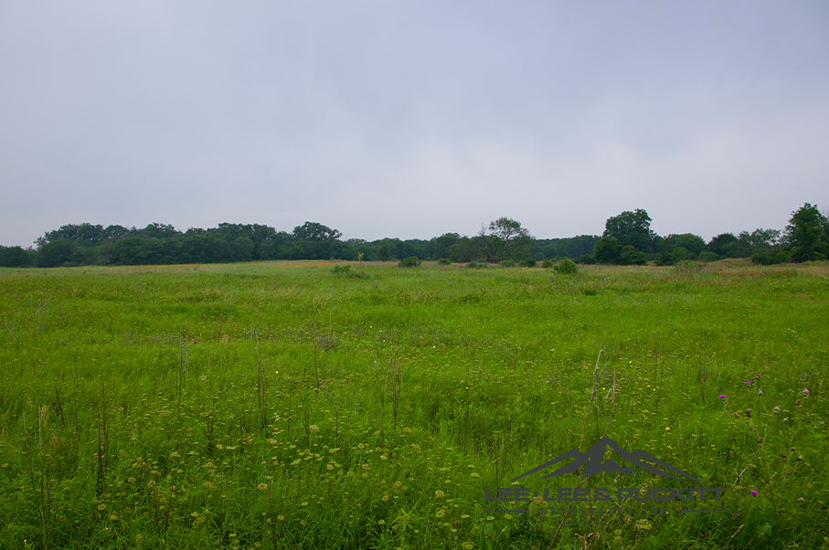 Pioneer Ranch Photo