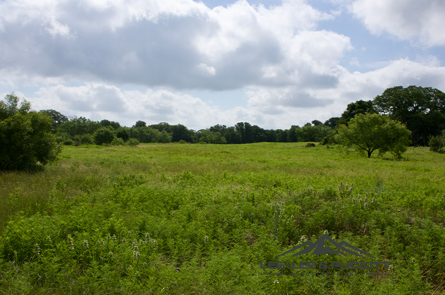 Pioneer Ranch Photo