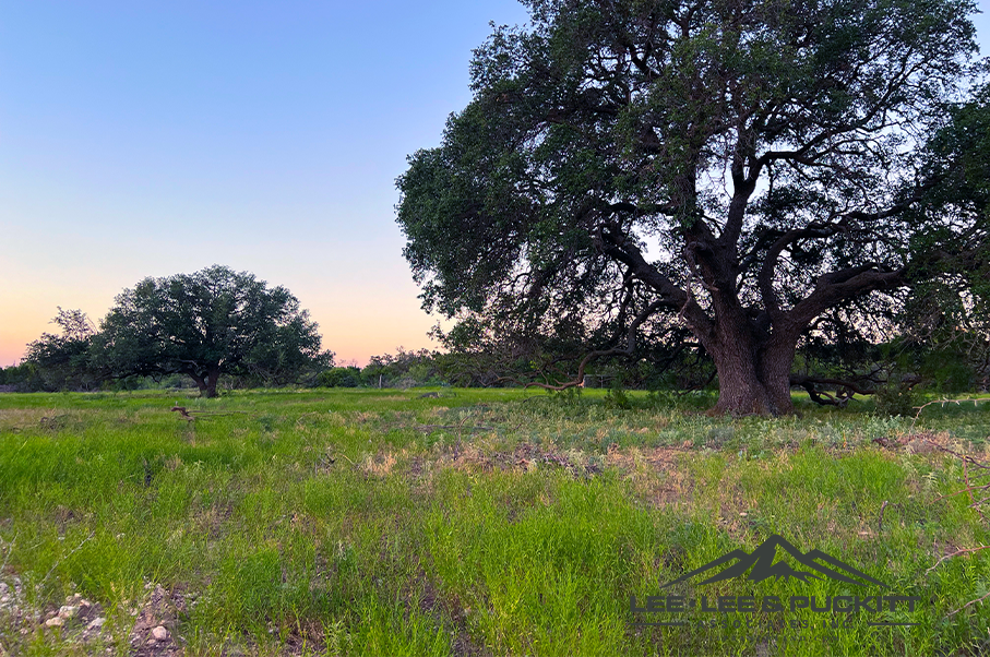 Wilson - Carlsbad Ranch Photo