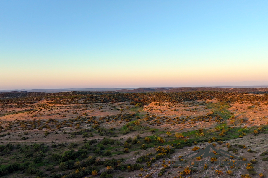 Wilson - Carlsbad Ranch Photo