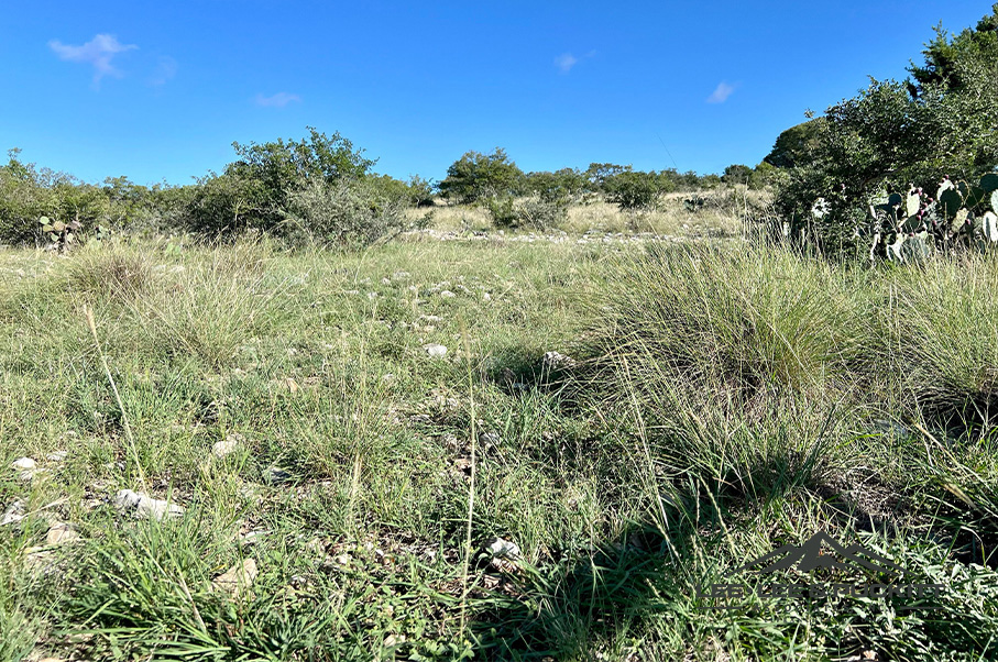 Frank's Ranch Photo