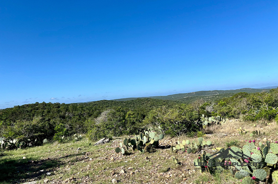 Frank's Ranch Photo