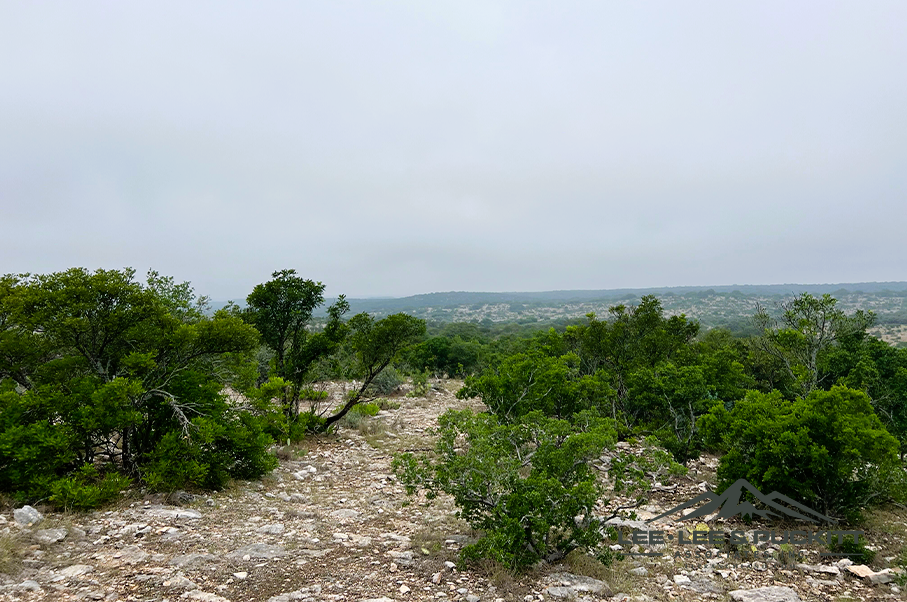 Frank's Ranch Photo