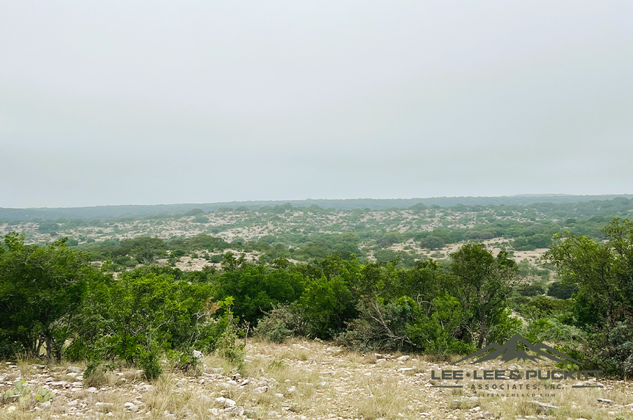 Frank's Ranch Photo