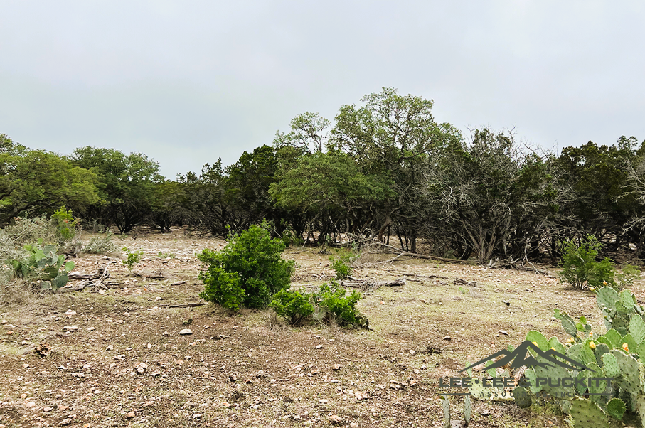 Frank's Ranch Photo