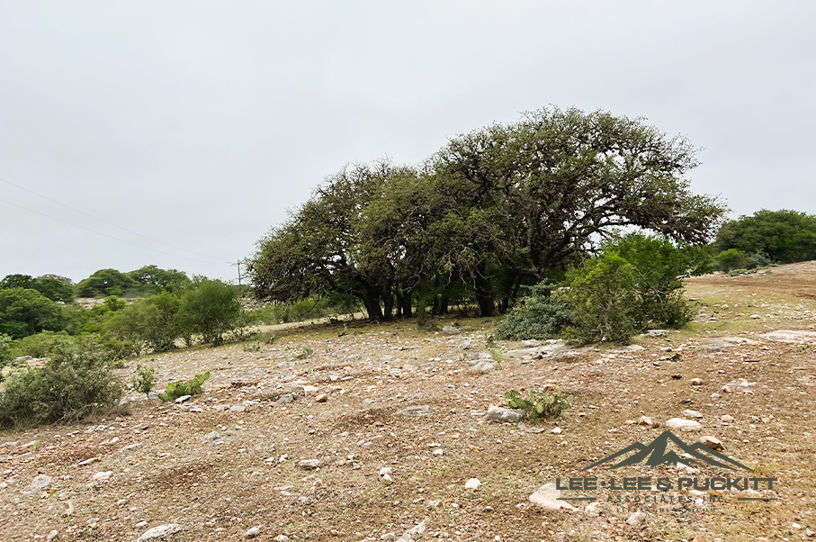 Frank's Ranch Photo