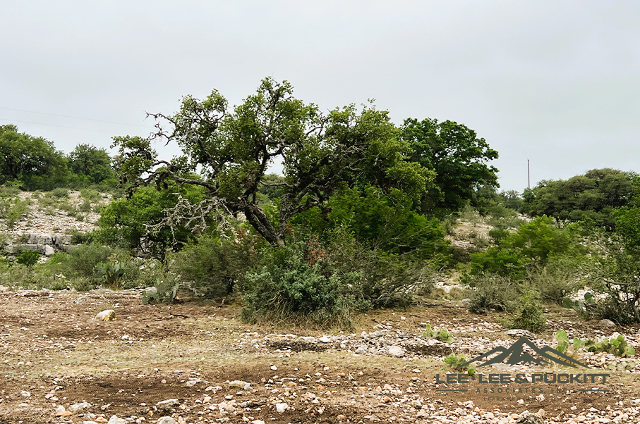 Frank's Ranch Photo