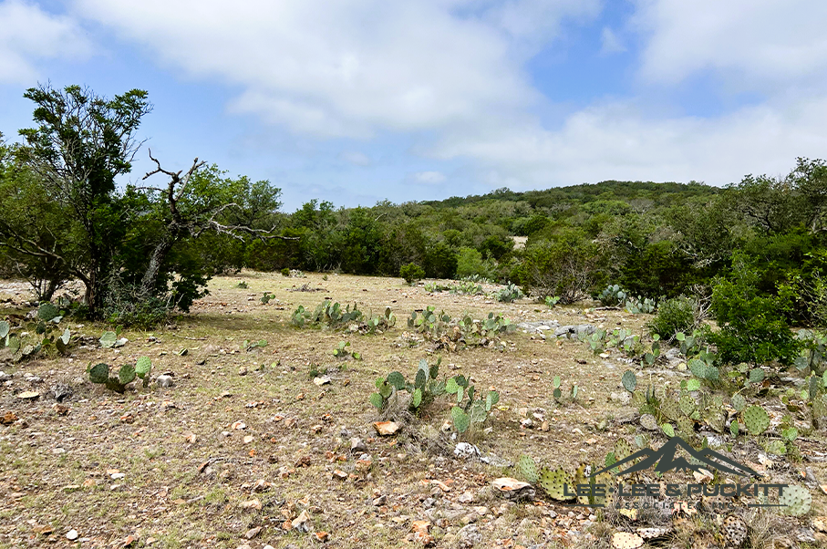 Frank's Ranch Photo