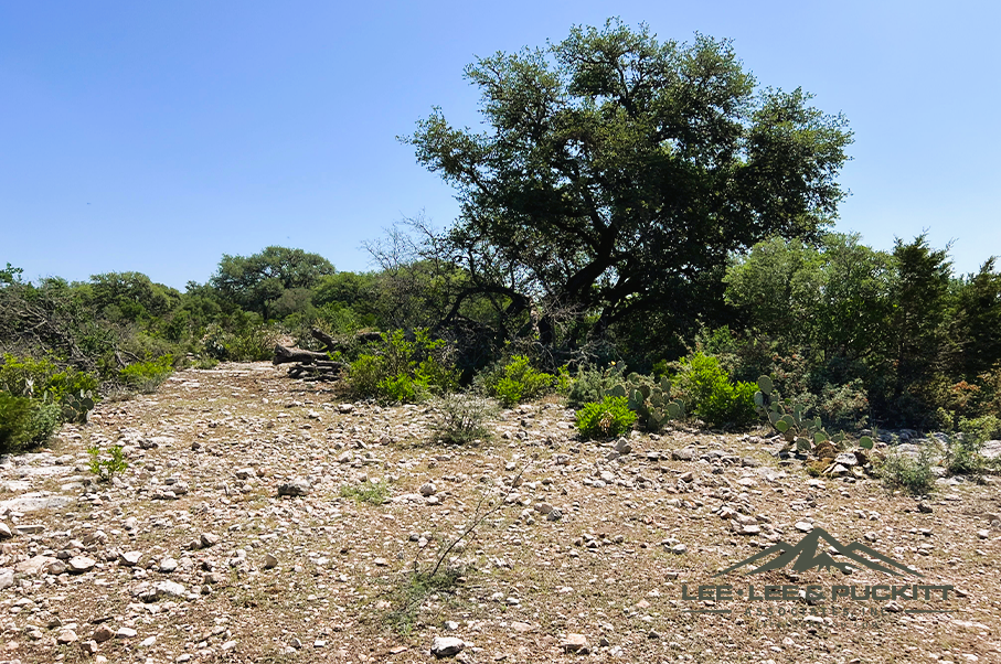 Frank's Ranch Photo