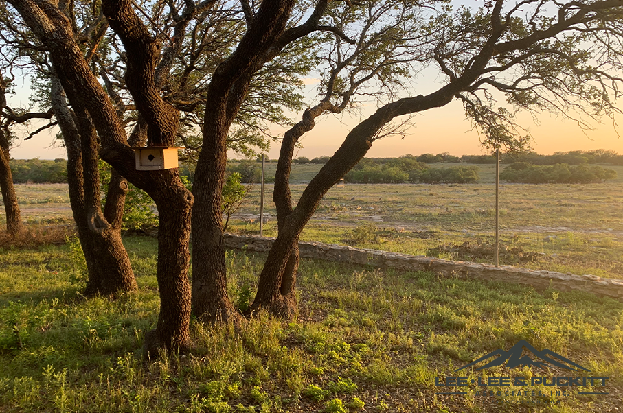 Horn & Antler Ranch Photo