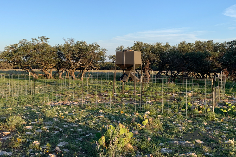 Horn & Antler Ranch Photo