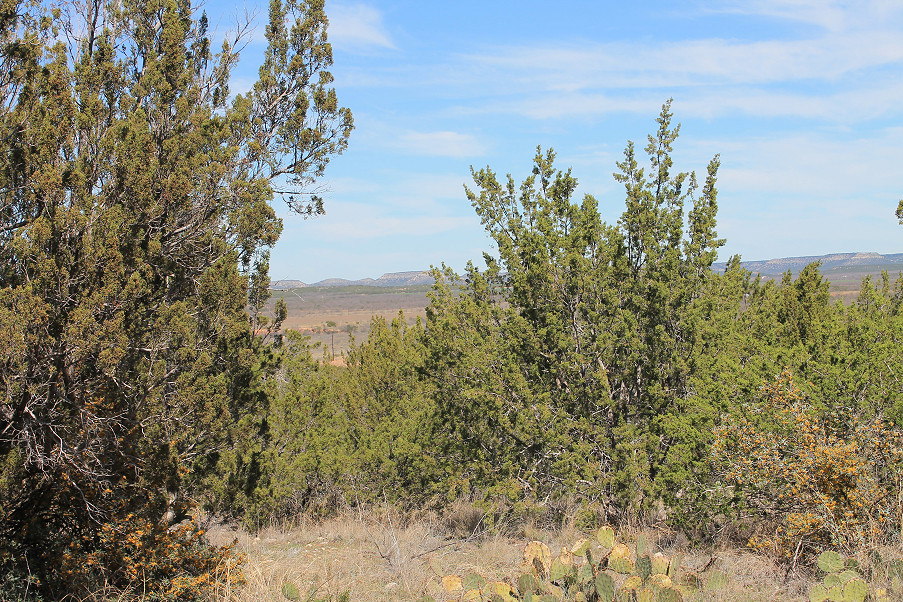 Scott Lane Acreage Photo