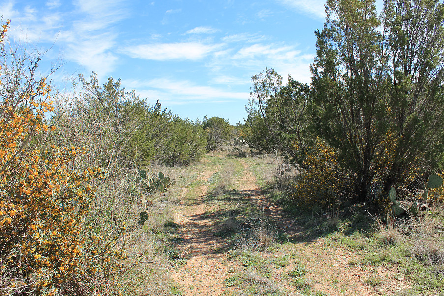 Scott Lane Acreage Photo