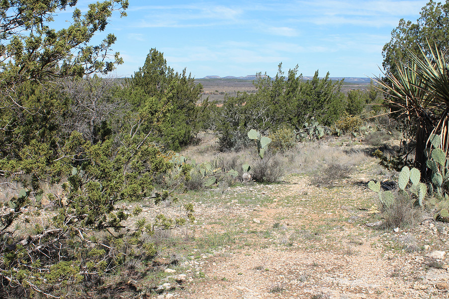 Scott Lane Acreage Photo