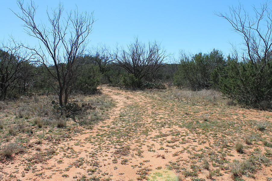 Scott Lane Acreage Photo