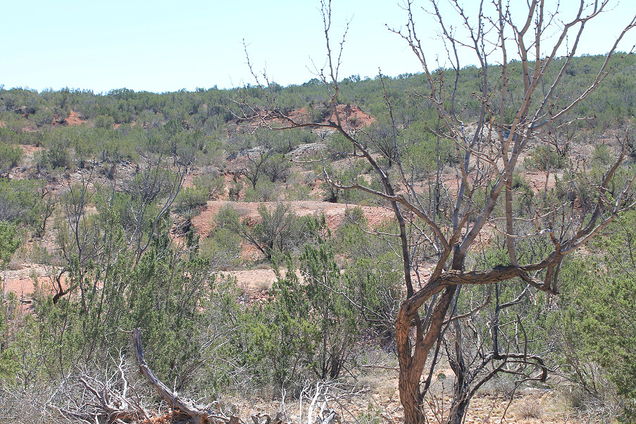 Scott Lane Acreage Photo